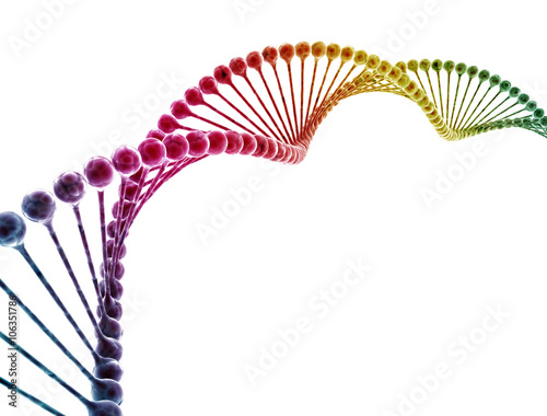 Multi color dna model isolated on white background photo