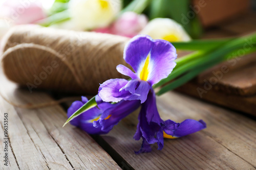 Fototapeta Naklejka Na Ścianę i Meble -  Purple iris with rope on wooden background, close up