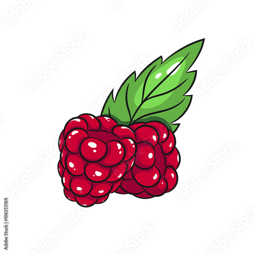 Vector raspberries illustration 