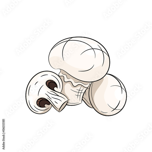 Vector champignon illustration on white background
