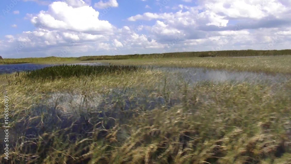 Airboat Ride through wetlands in Central Florida Airboat Ride through wetlands in Central Florida