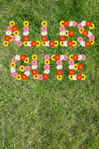 Alles Gute Karte wünschen Geburtstag aus Blumen Blume Gras Wies