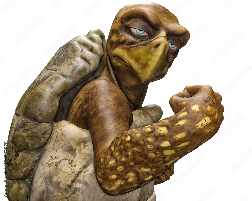 Obraz premium mr turtle ready to fght