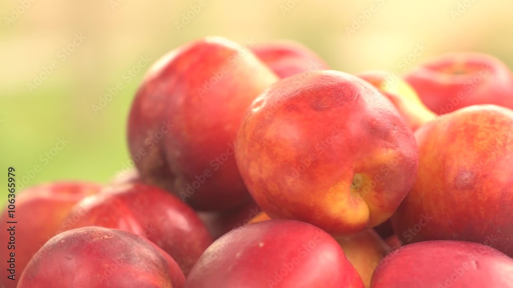 Nectarines rotation against green background Nectarines rotation against green background