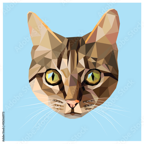 Cat colorful low poly design isolated on blue background with a white outline. Animal portrait card design. 