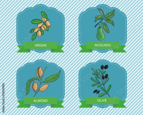 label templates with plants - label templates with plants - olive, argan, almond, avocado Medicinal plants.