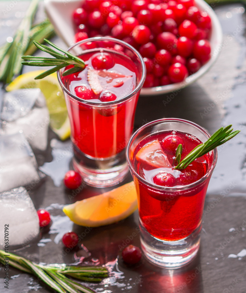 Red cocktail with fresh cranberries, lemon, rosemary and vodka Red cocktail with fresh cranberries, lemon, rosemary and vodka