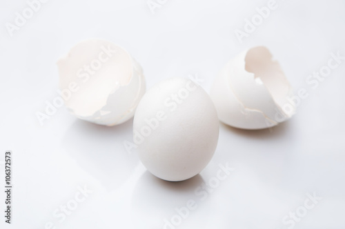 egg and egg shell