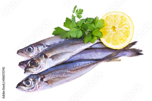 mackerel isolated