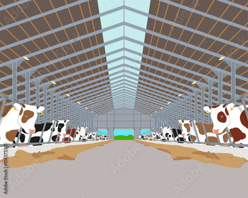 Inside of the interior of the cowshed with the cows. Vector illustration photo