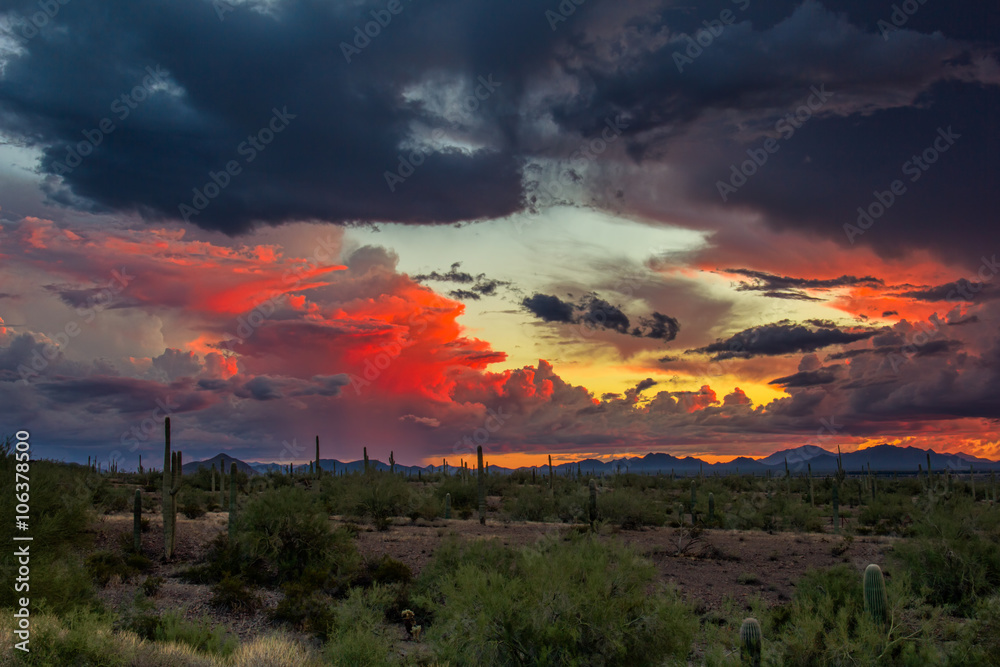 Fototapeta premium Desert sunset