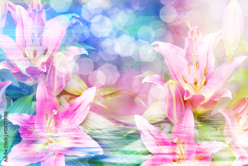 Fototapeta Naklejka Na Ścianę i Meble -  Close up of pink lilies