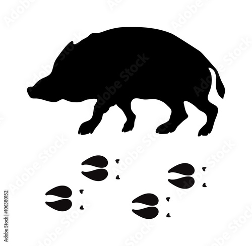 Black silhouette boar wild animal zoo vector. 