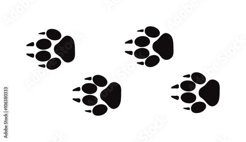 Animal foot prints and tracks isolated steps traces on white for wildlife concept design vector. 