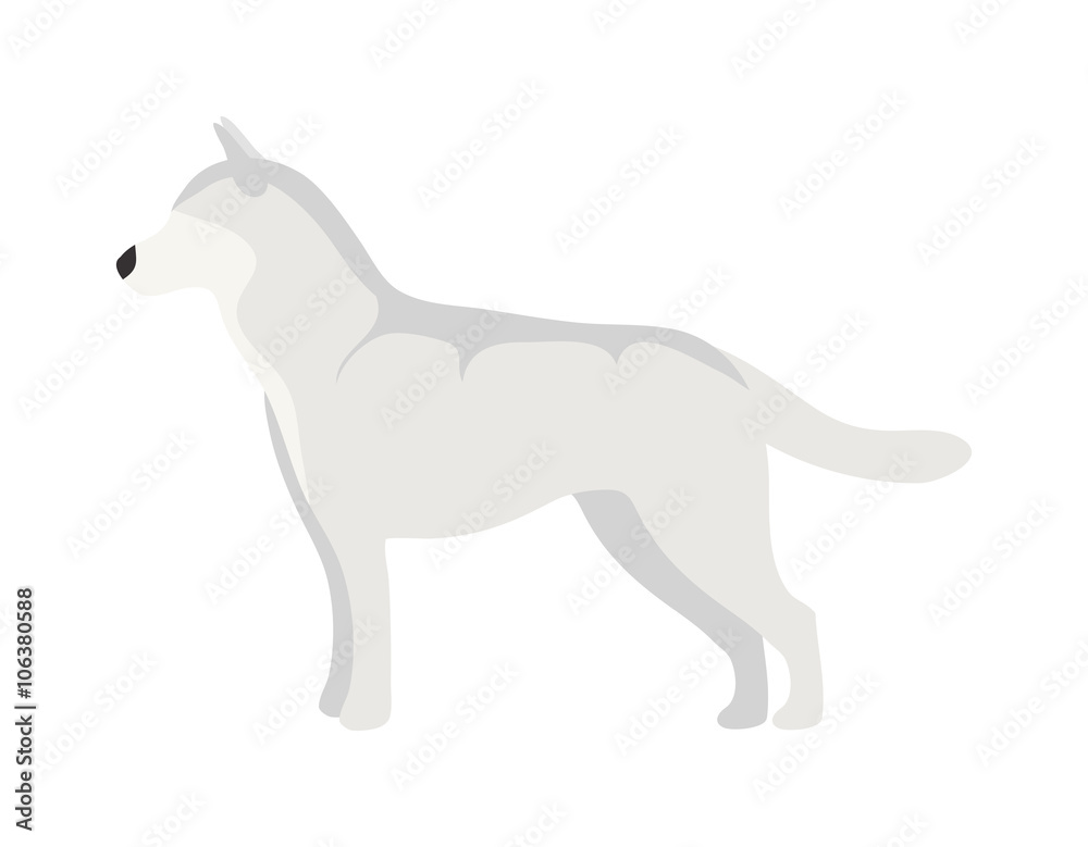 Flat dog pet and sitting cute vector Flat dog pet and sitting cute vector
