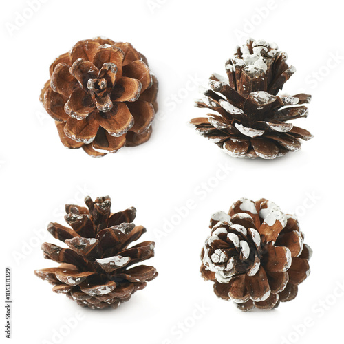 Single decorational pine cone isolated