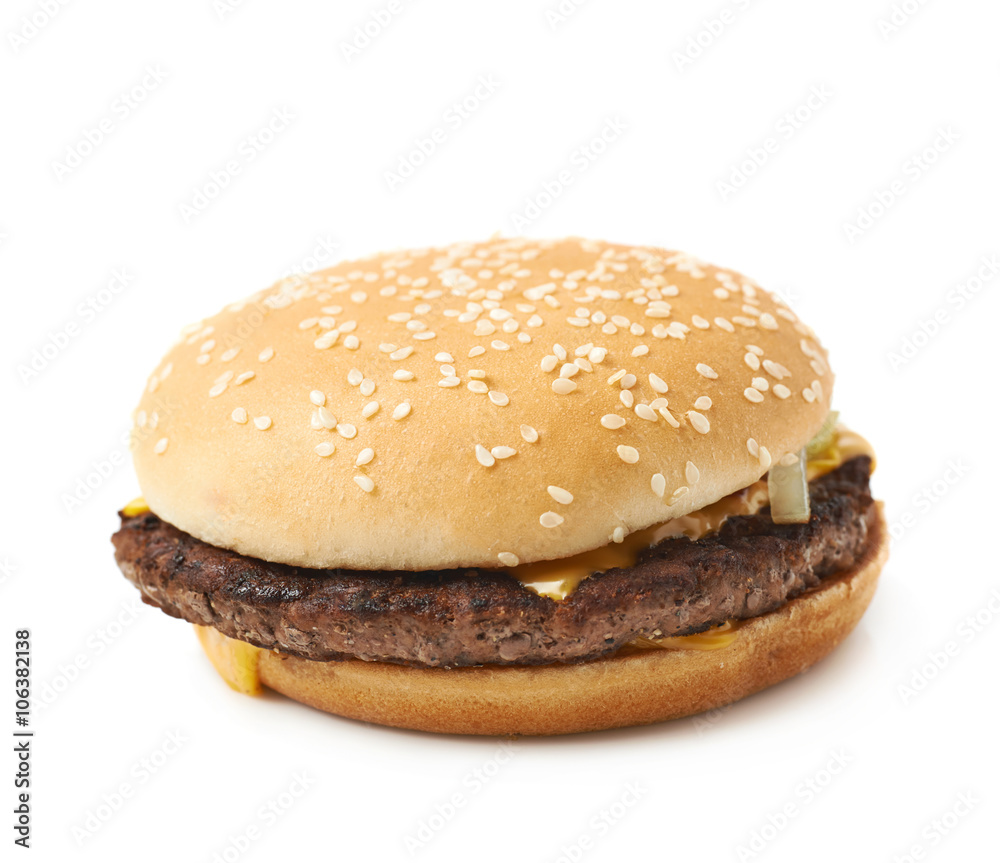 Fresh hamburger isolated