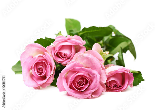 Pile of pink roses isolated