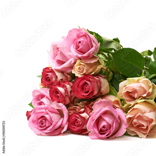 Pile of rose flowers isolated