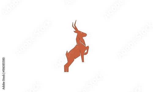 antelope jump