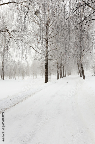 path in the snow  © rsooll