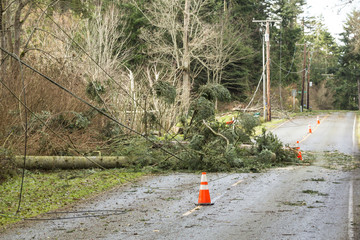 Keuken achterwand Onweer Omgevallen bomen blokkeren weg na storm  © ML Harris