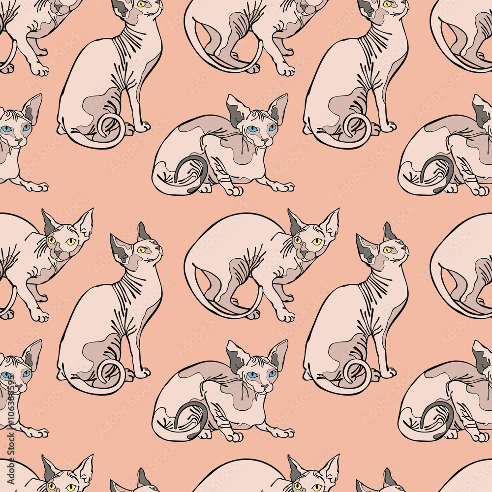 Naklejka premium Hairless naked cats. Sphynx Cats. Seamless vector pattern (background).