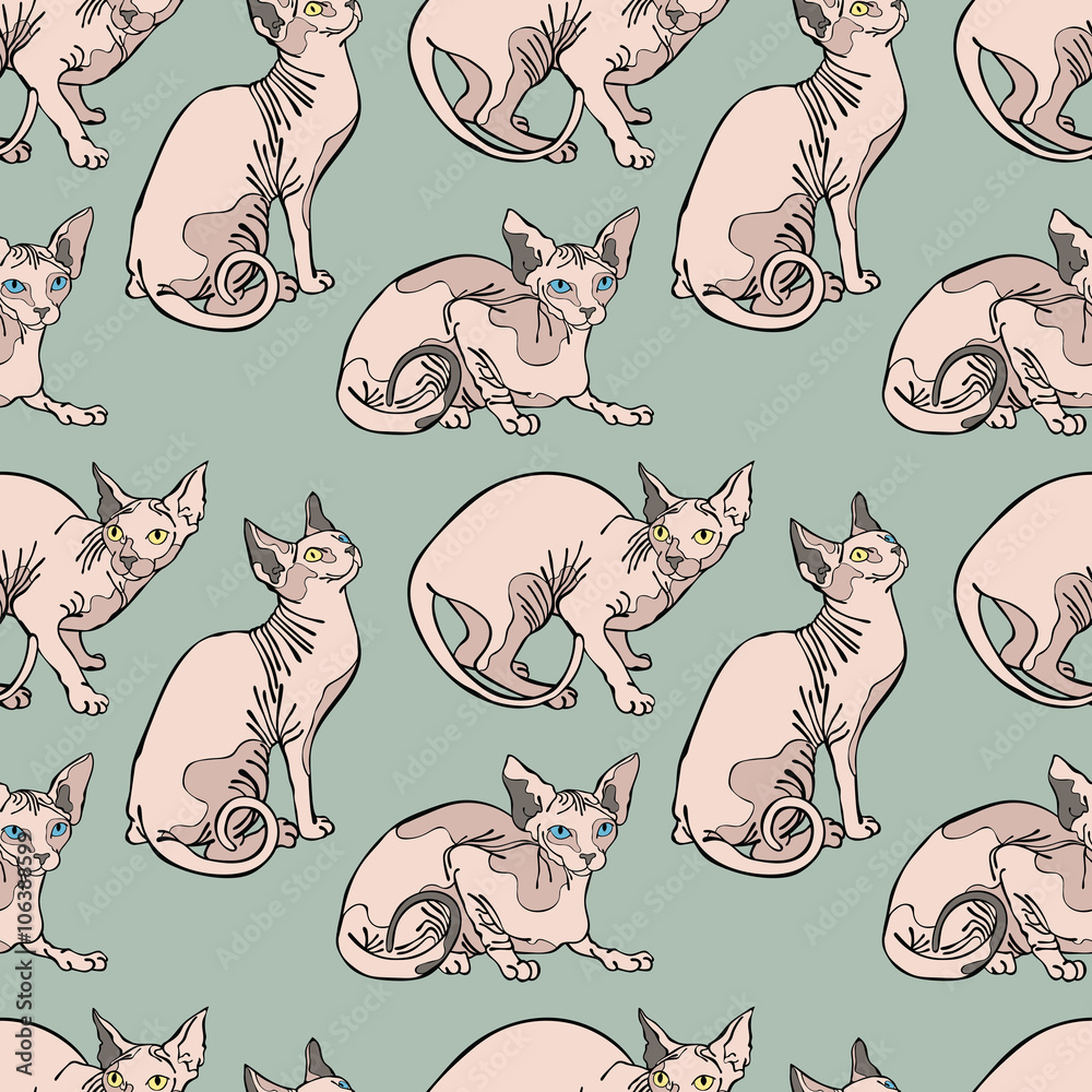 Hairless naked cats. Sphynx Cats. Seamless vector pattern (background).