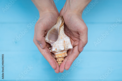 Male fingers hold a seashell on blue background