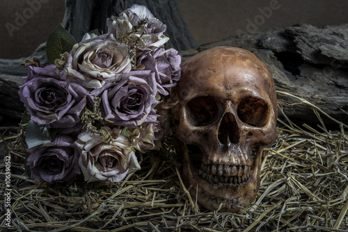 still life with human skull art abstract background