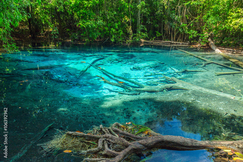 Pool Krabi Province  Thailand