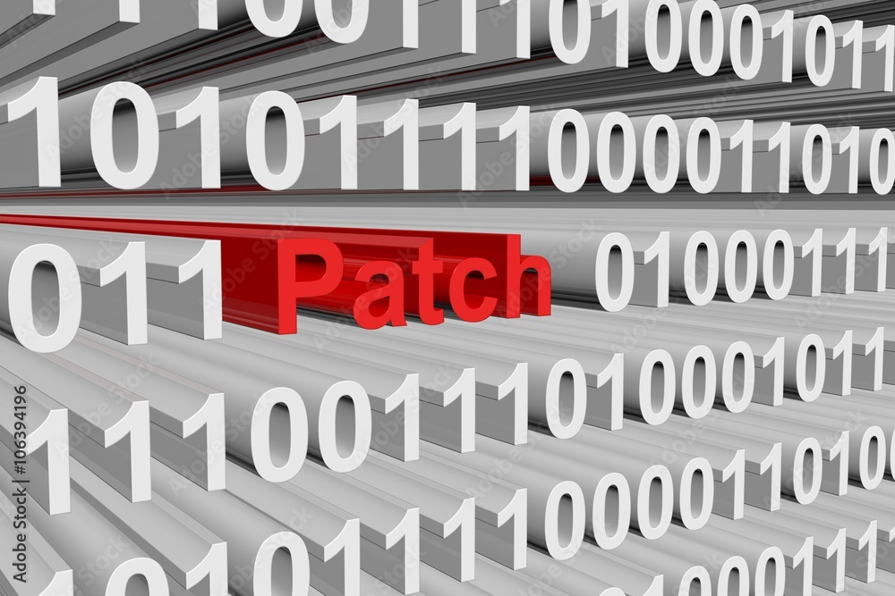 patch presented in the form of binary code