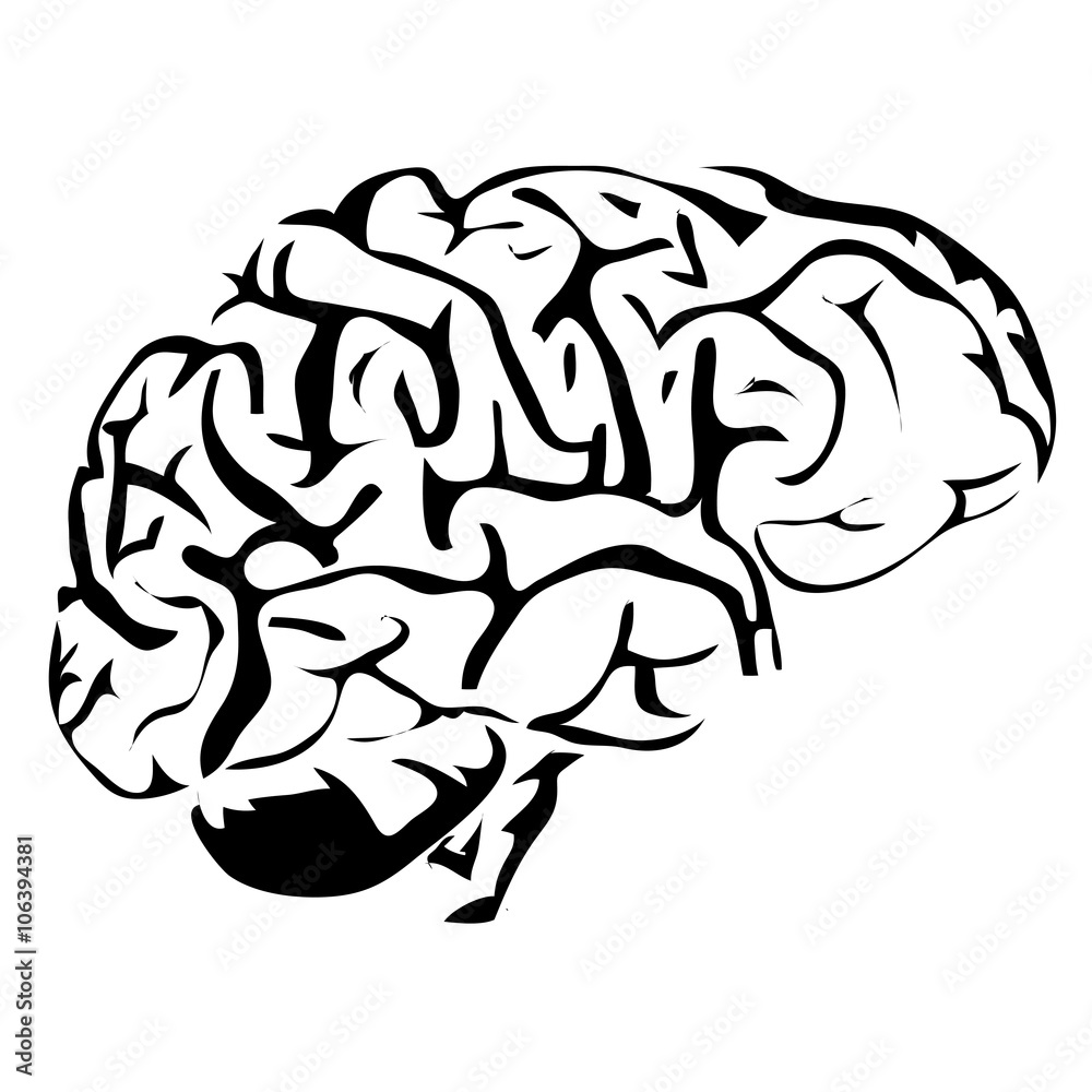 Fototapeta premium Outline brain human internal organs vector image