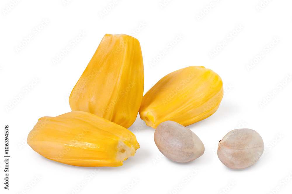 jackfruit jackfruit