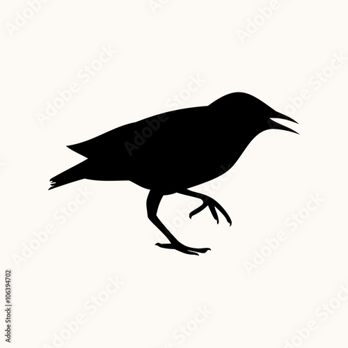 Bilde på lerret starling