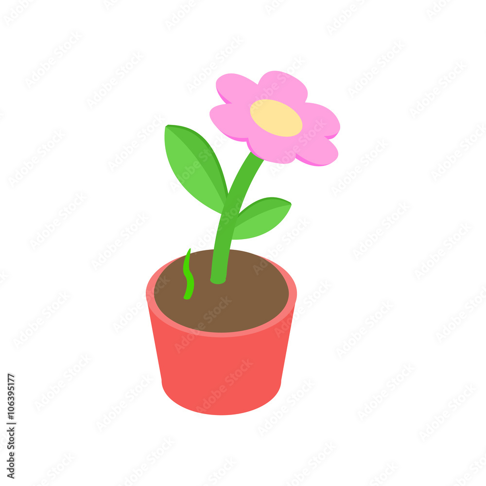 Pink flower in a pot icon, isometric 3d style
