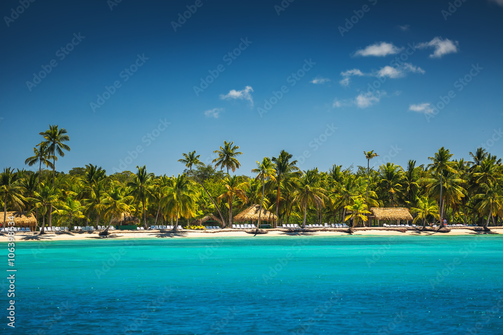 Palm trees on the tropical beach Palm trees on the tropical beach