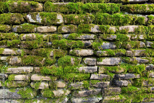 Green moss on old stone wall