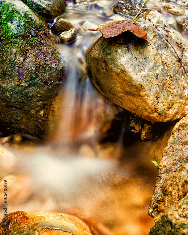 Obraz premium blurred water (8) and autumn leaf
