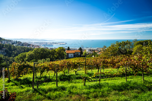 The gulf of trieste in a sunny day