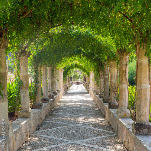 View at an old arabic garden