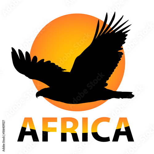 vector Africa