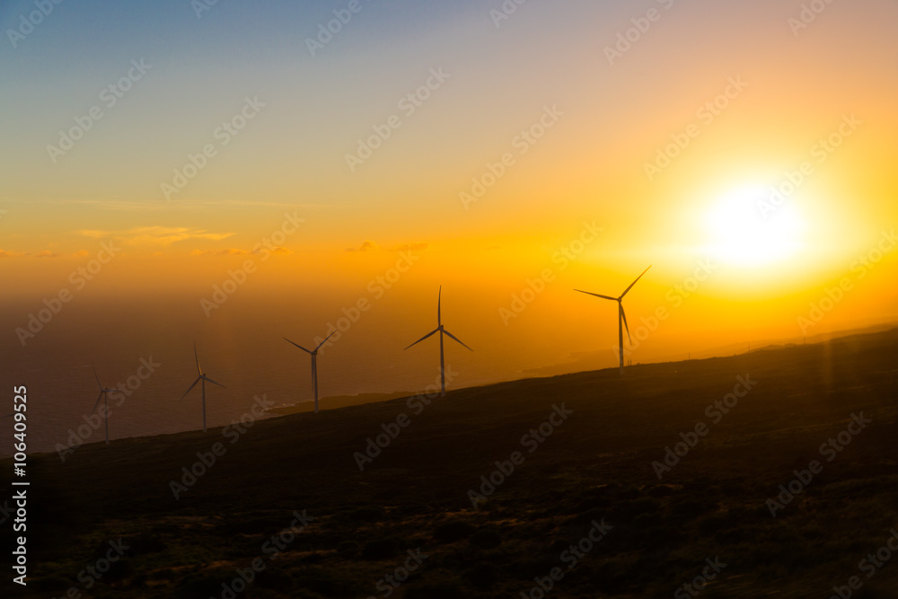 The Windmills of Maui