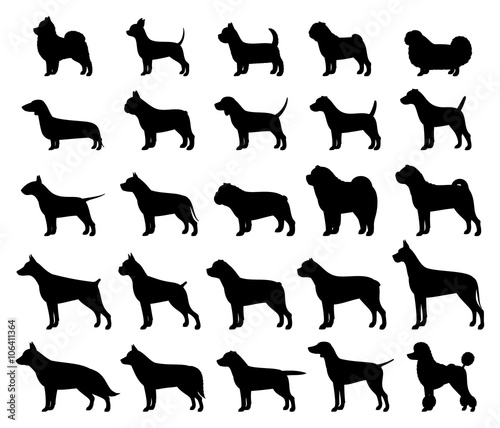 Vector dog breeds silhouettes collection isolated on white
