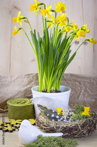 Obraz na płótnie Bird nest on a table with eggs and feather w salonie