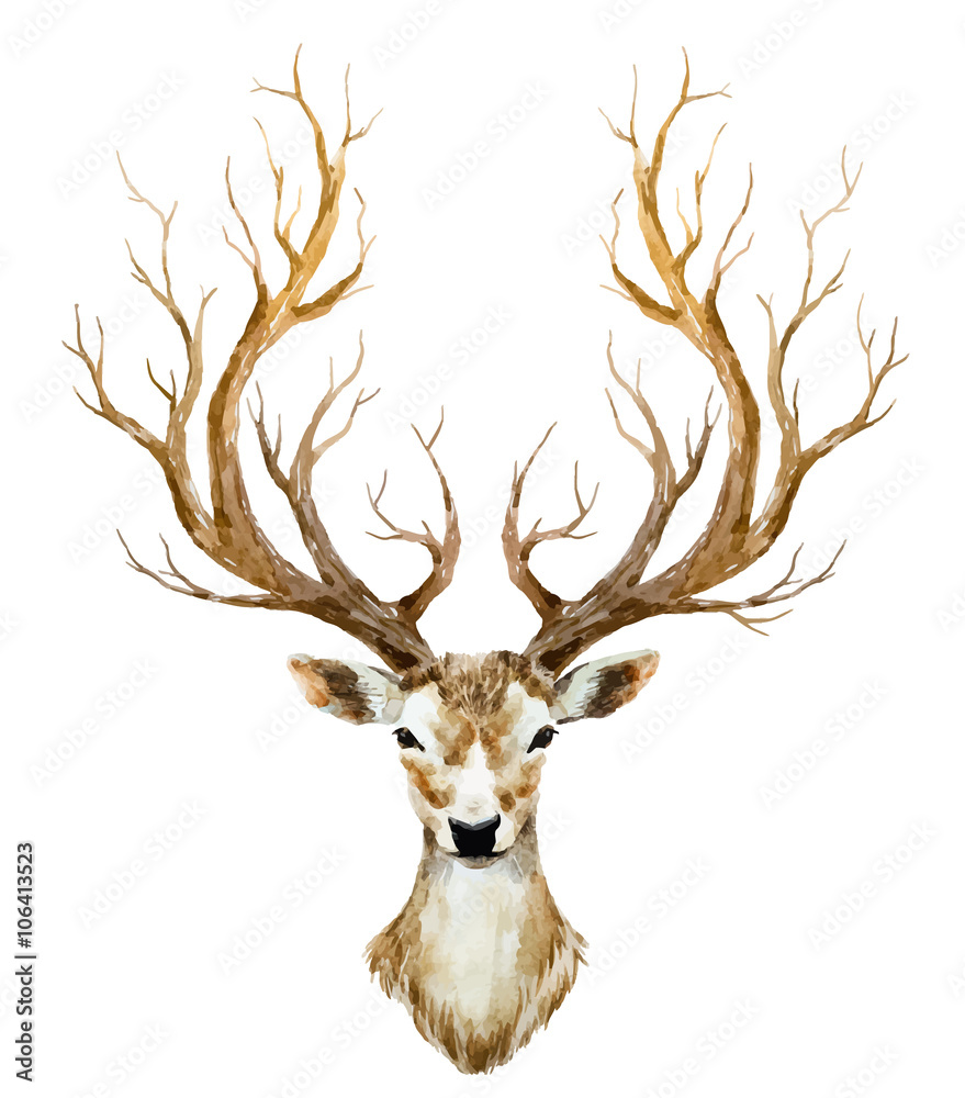 Obraz Ręcznie rysowane akwarela jelenia