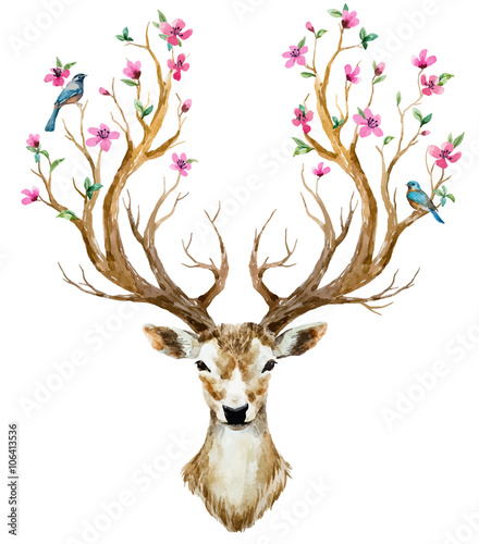 Watercolor hand drawn deer