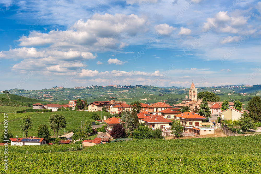 Small italian town and vineyards.