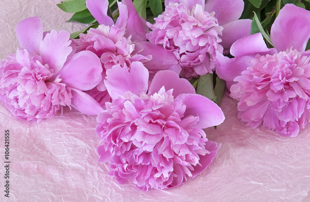 Bouquet of pink peonies Bouquet of pink peonies