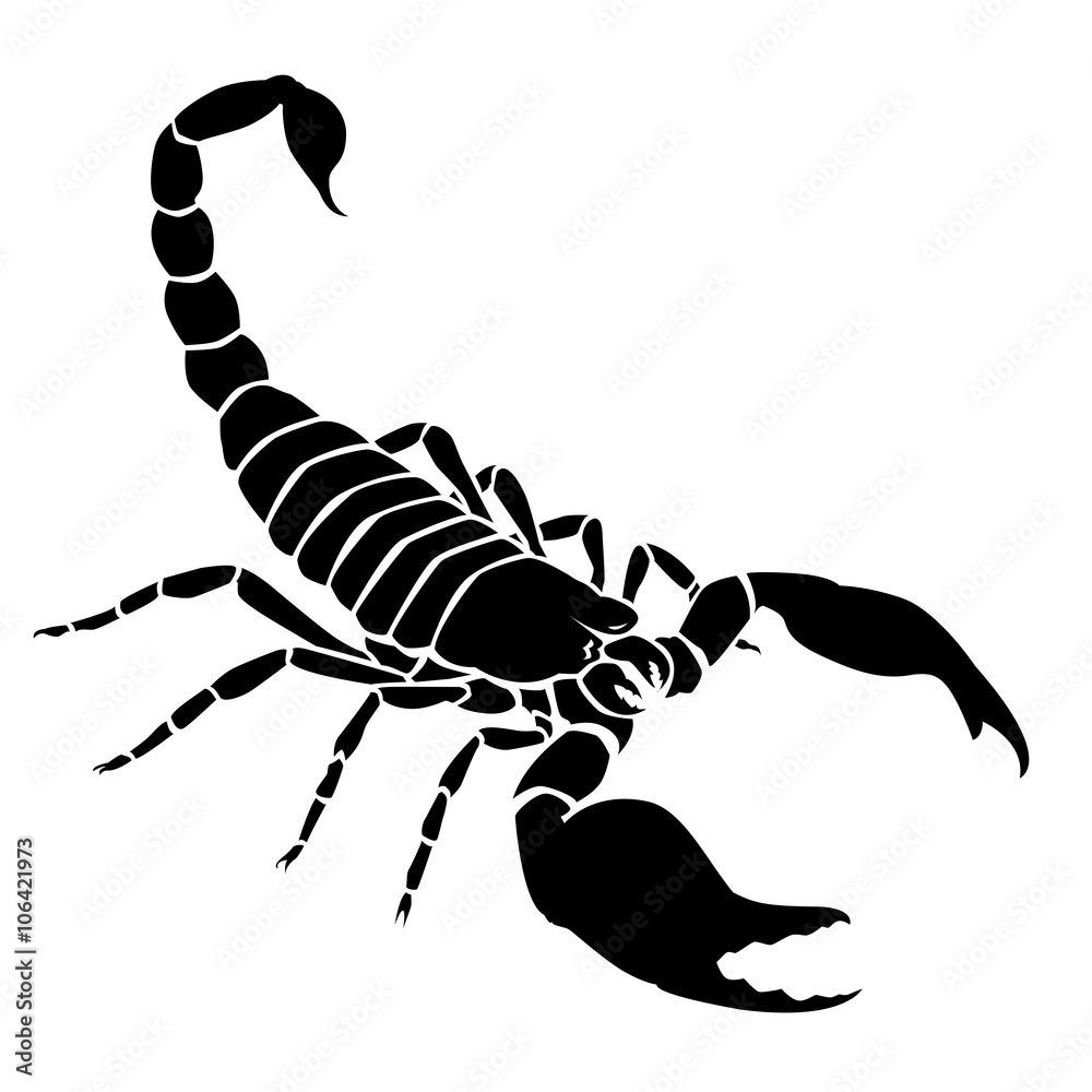 Silhouette noire de scorpion sur fond blanc